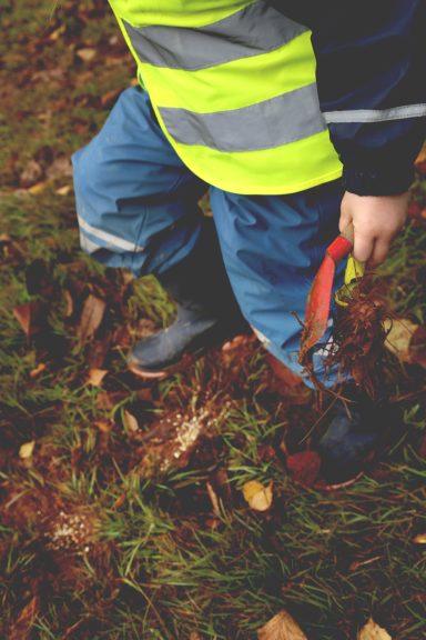 Naturschutzplanung Riegelsberg_Schritt 3-Samen festtreten