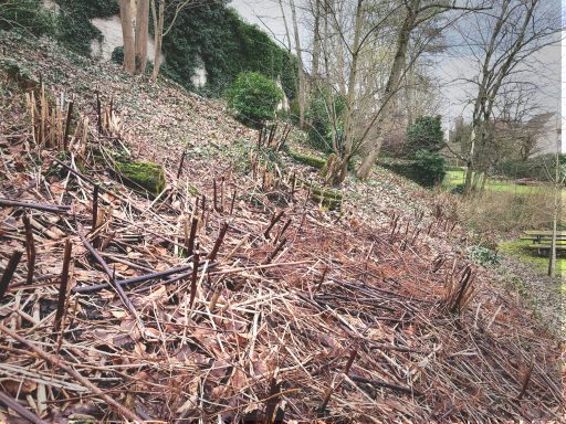 Oberes, teilweise gerodetes Plateau der Gartenanlage des Erbprinzenpalais in Saarbrücken im Februar 2025