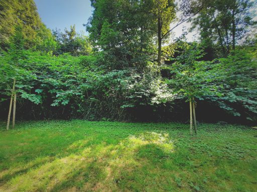 Blick vom mittleren auf das obere Plateau der Gartenanlage des Erbprinzenpalais in Saarbrücken im Sommer 2024
