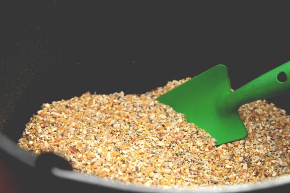 Naturschutzplanung Riegelsberg_Regionales Saatgut