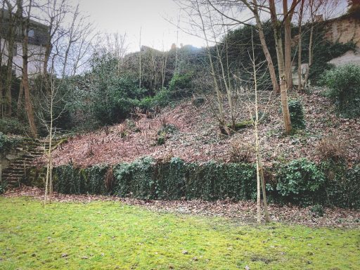 Blick vom mittleren auf das obere Plateau der Gartenanlage des Erbprinzenpalais in Saarbrücken im Februar 2025