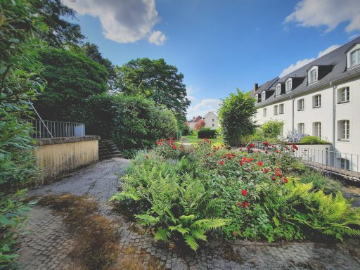 Rosenbeet in der Gartenanlage des Erbprinzenpalais in Saarbrücken im Sommer 2024